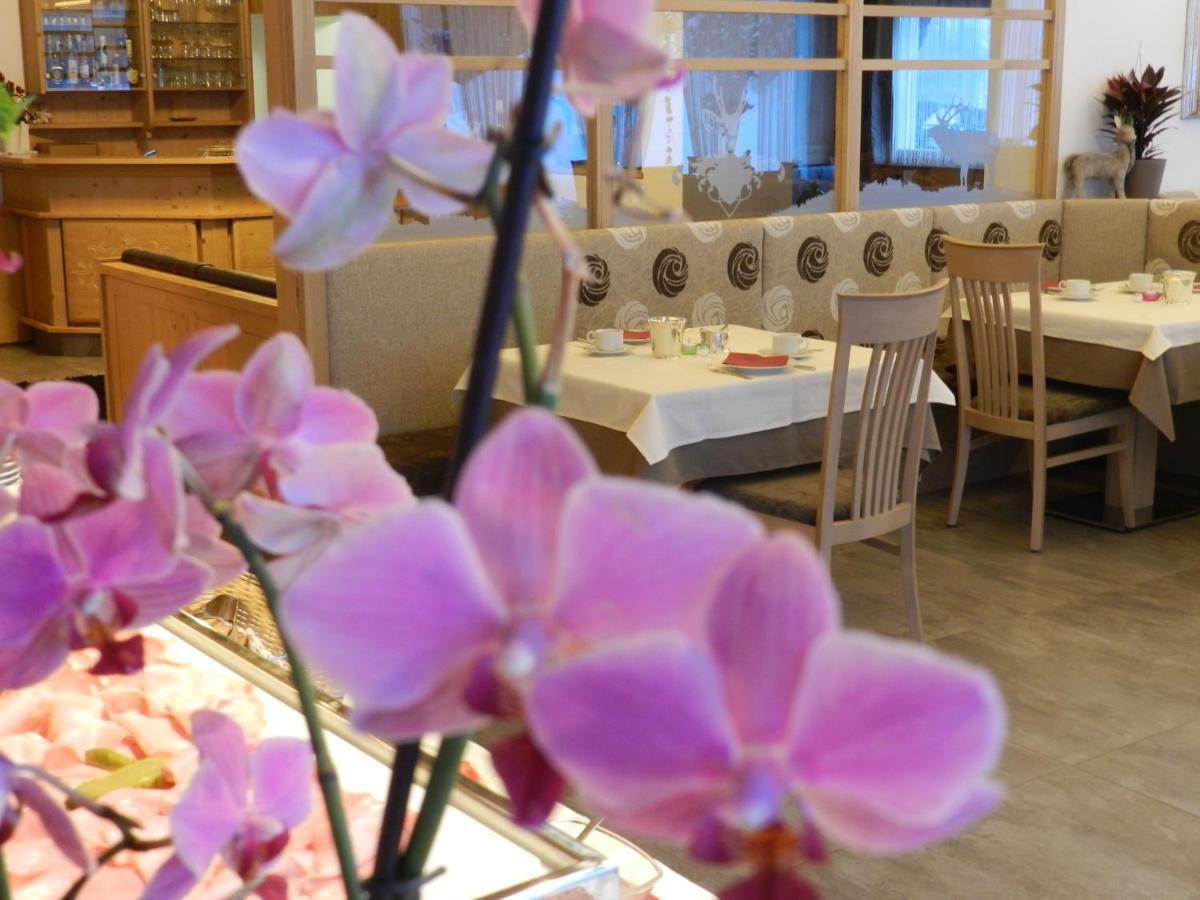 Hotel Garni Mezdi 3*